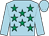Jockey Silk