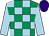 Jockey Silk