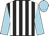 Jockey Silk