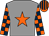 Jockey Silk