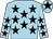 Jockey Silk