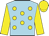 Jockey Silk