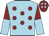 Jockey Silk