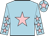 Jockey Silk