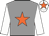 Jockey Silk