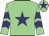 Jockey Silk